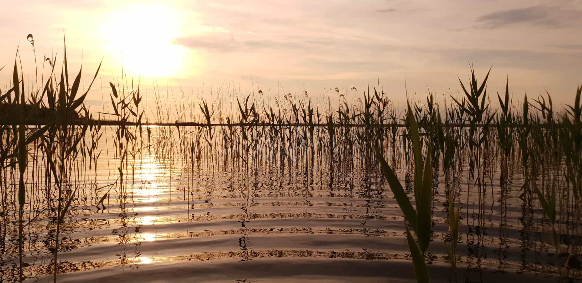 Tour Atardecer en la Albufera Valencia - TuViajeTravel