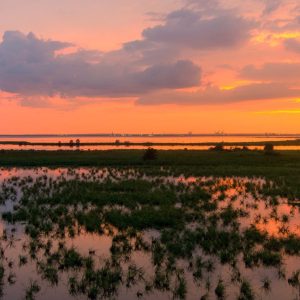 Tour Atardecer en la Albufera Valencia - TuViajeTravel